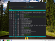 \Mint com kernel